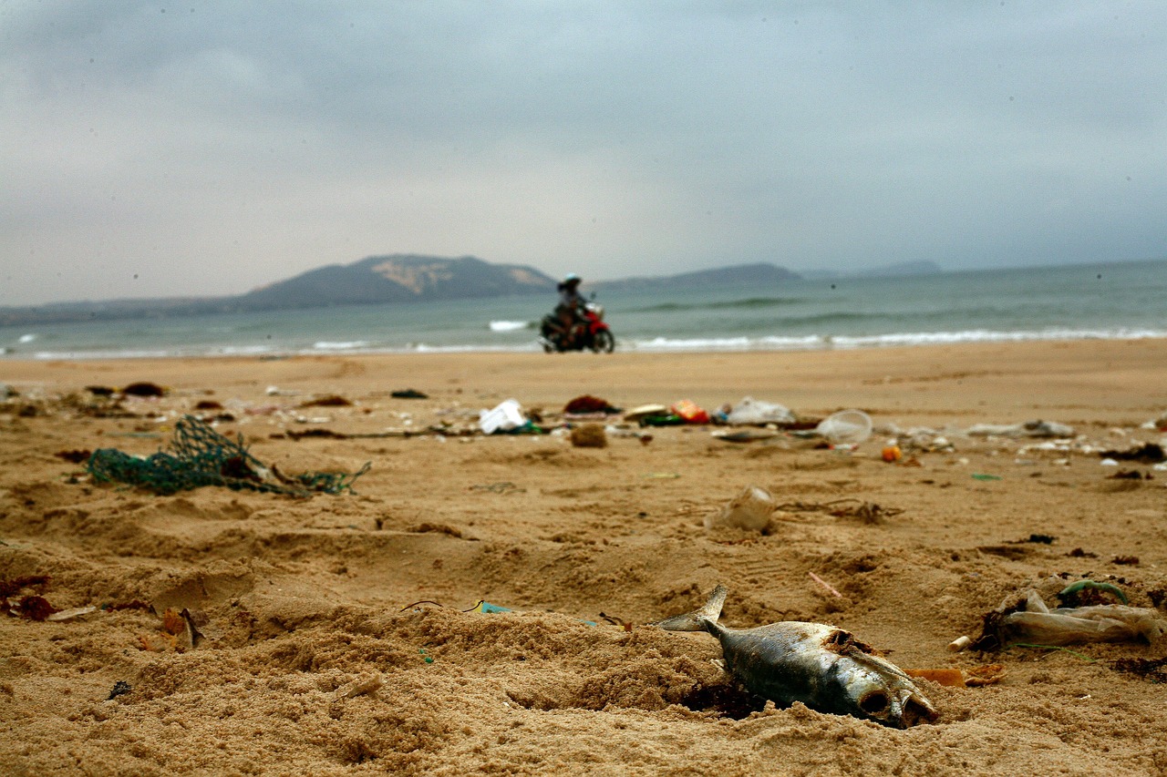 The Importance of Recycling in the Fight Against Global Warming
